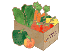 organic fruit and veg delivery